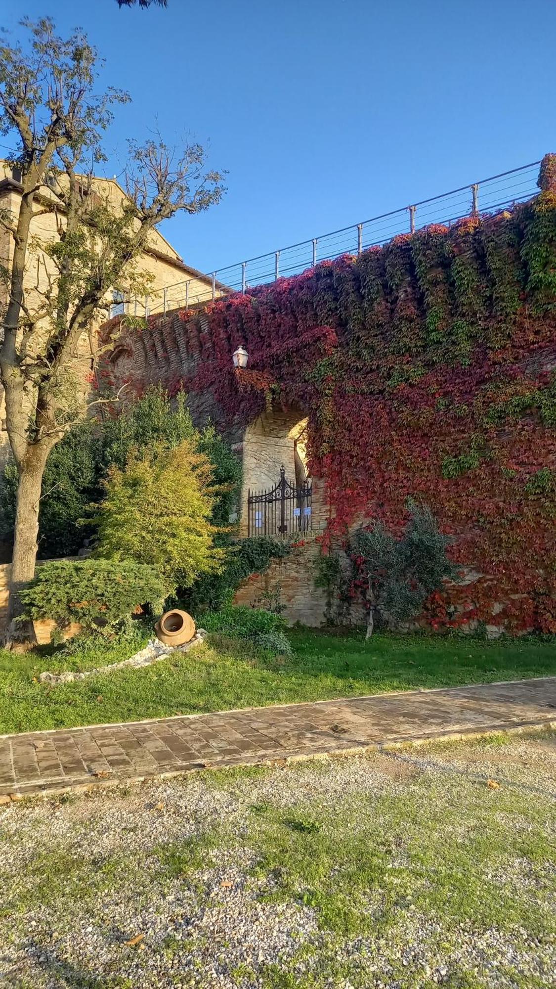 Novecento Διαμέρισμα Bertinoro Εξωτερικό φωτογραφία